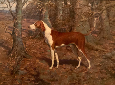 Oil painting of foxhound standing in the woods