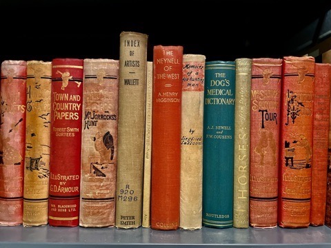 Row of old books at the MHHNA