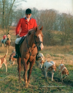 Huntsman in red coat riding horse with hounds following