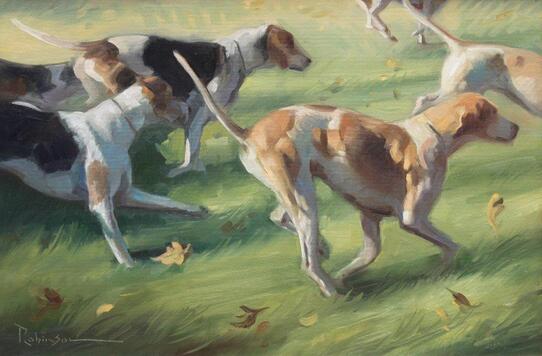 Hounds running through field with fallen leaves