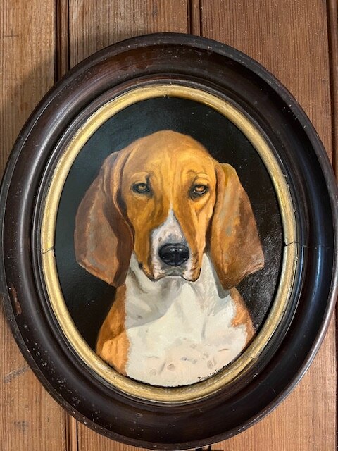 Hound Portrait