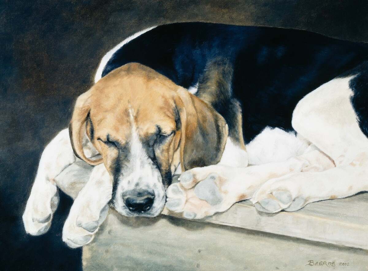 Painting of hound sleeping