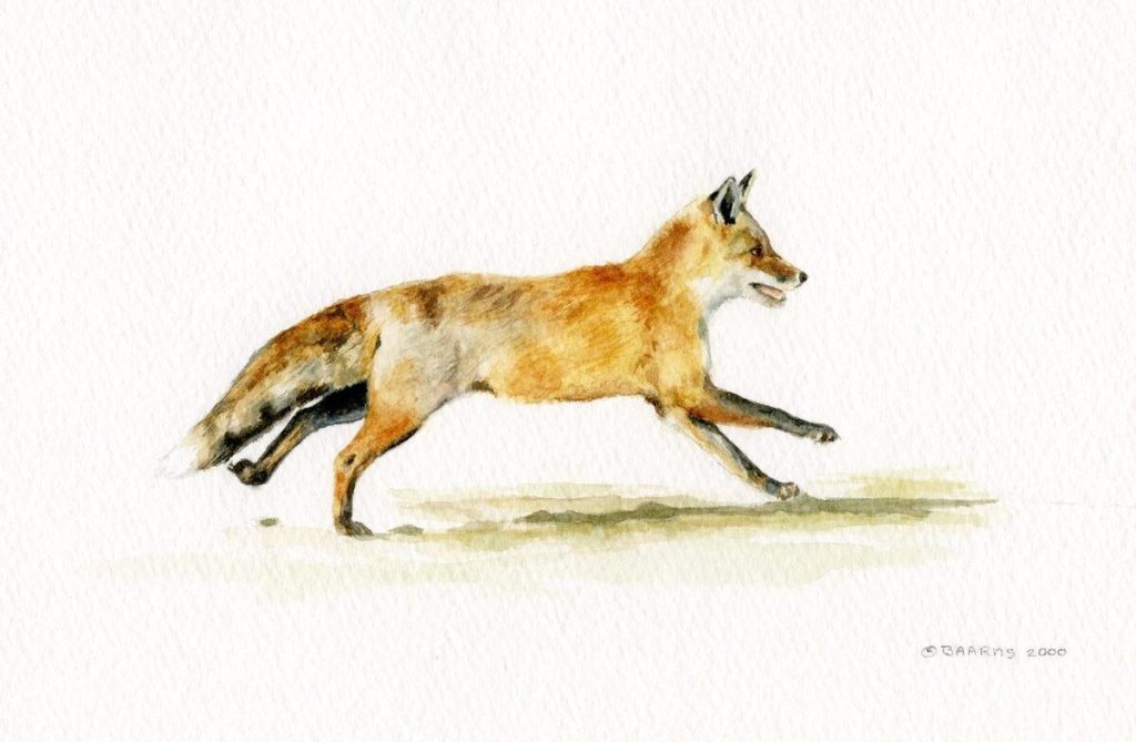 Painting of fox running.
