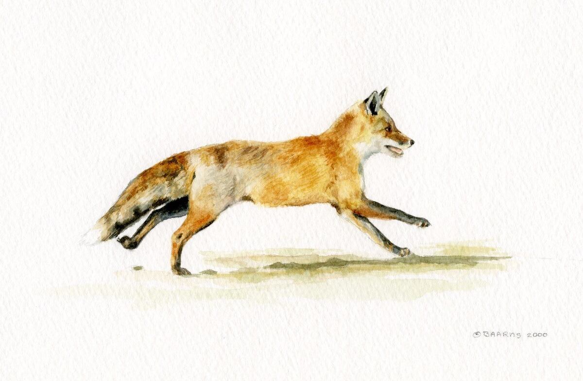 Painting of fox running.