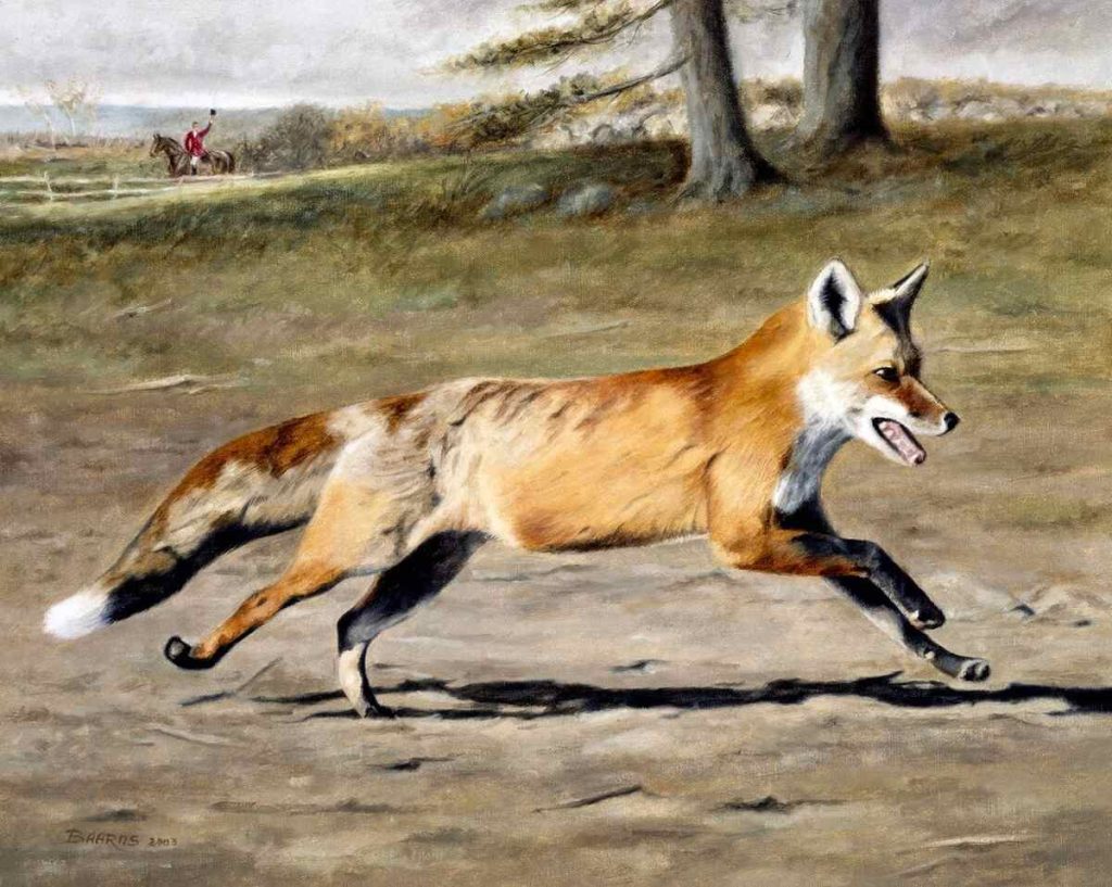 Painting of fox running.