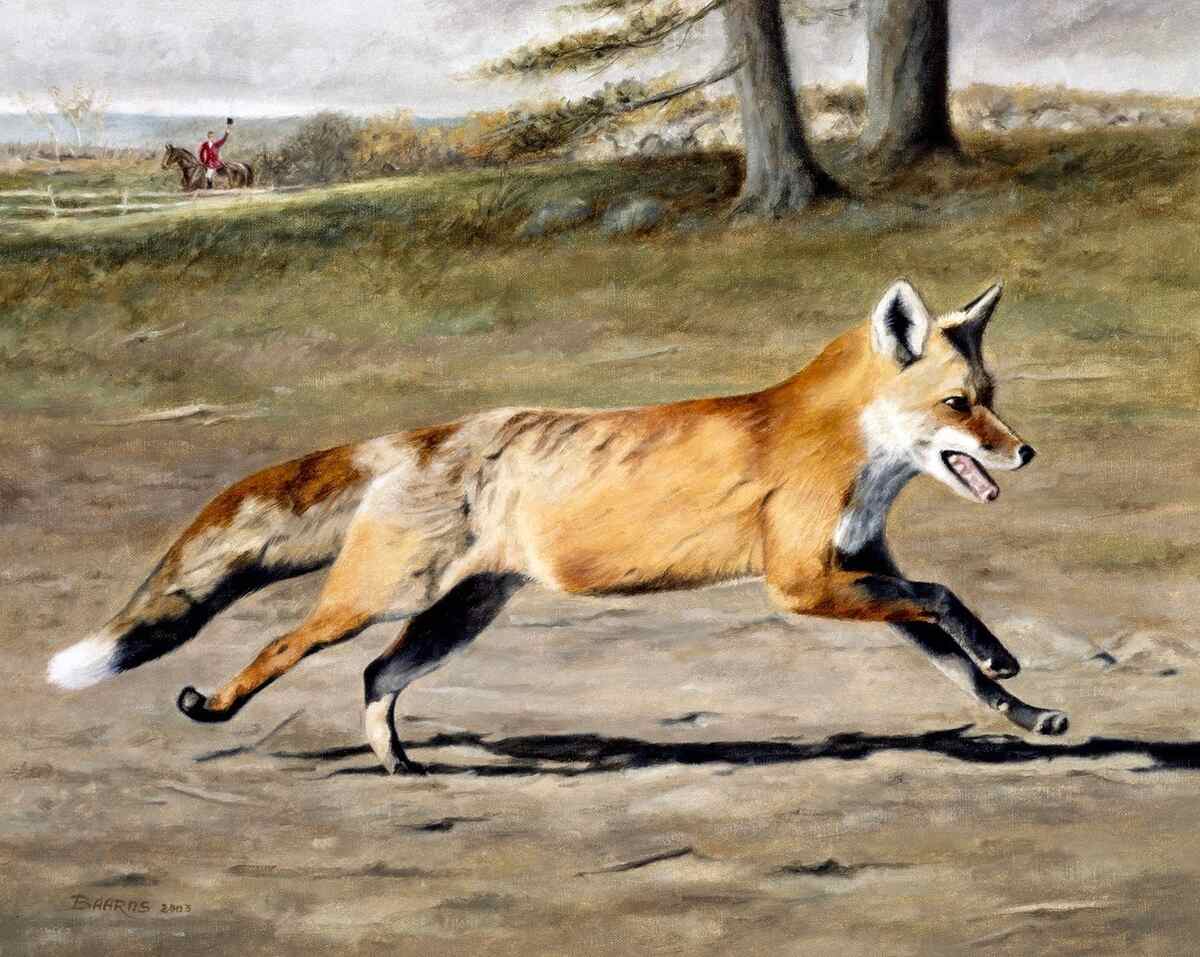 Painting of fox running.