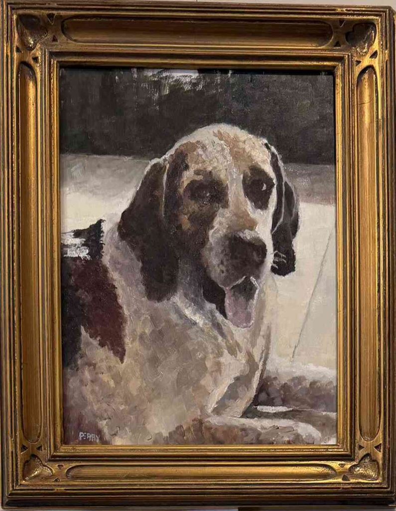 Hound with tongue hanging out.