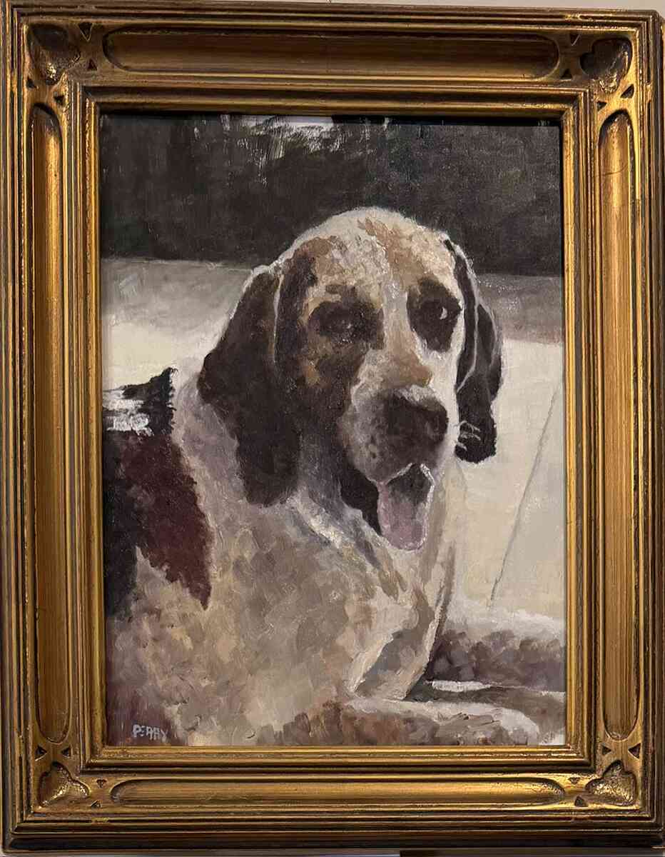 Hound with tongue hanging out.